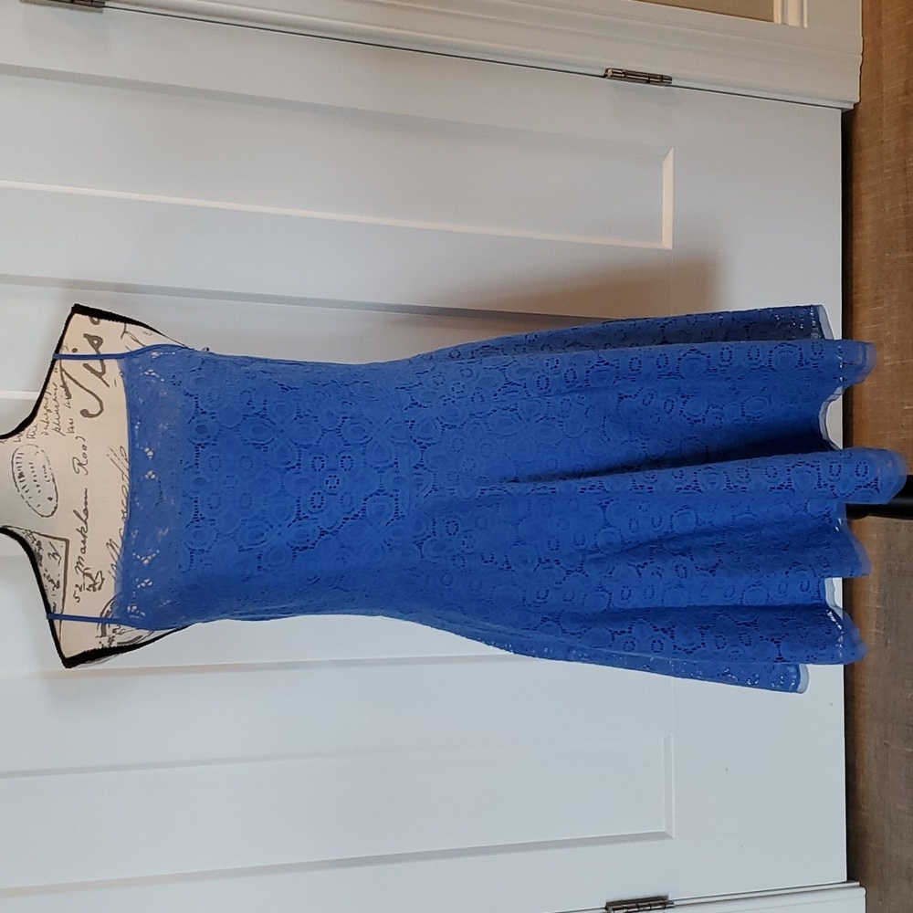 The Limited Blue Lace dress